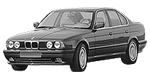 BMW E34 C228C Fault Code